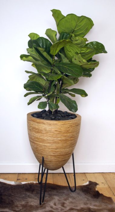 Large Planter 001