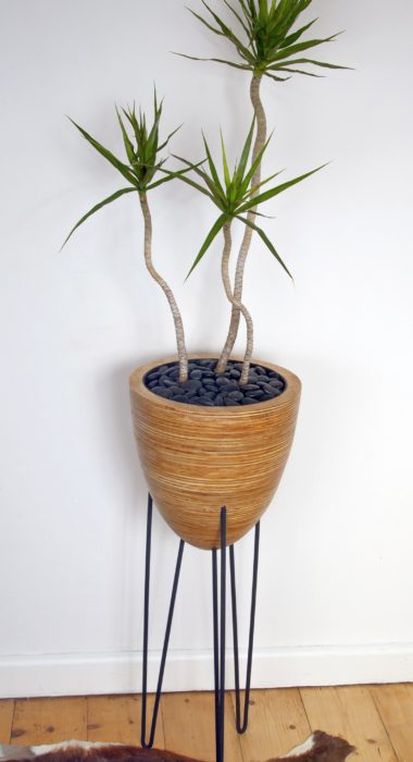 Medium Planter 001